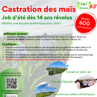 2026_Flyer castration maïs.png